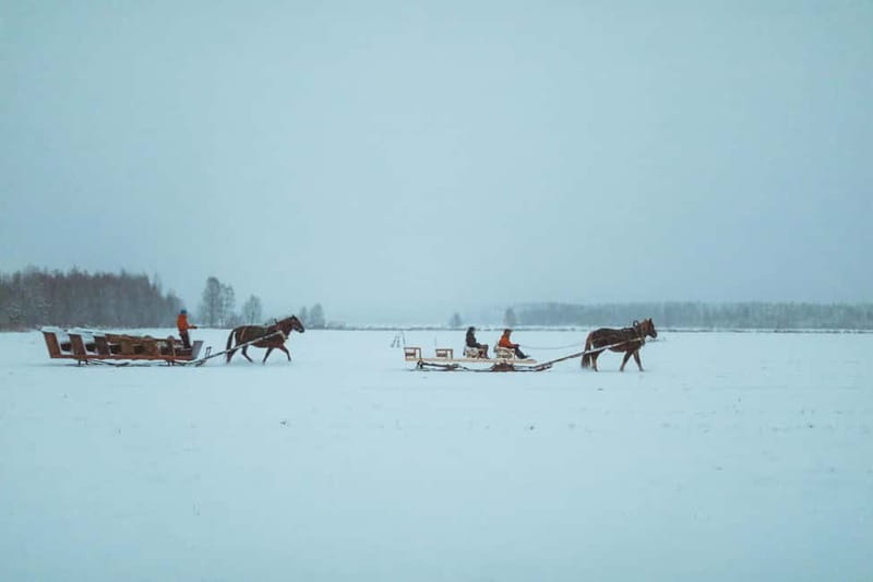 Rovaniemi: Horse Sleigh Ride under the Night Sky - Winter clothing and what you should still wear