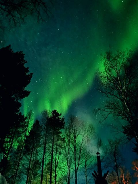 Rovaniemi Hunting Aurora at the Best Spots - What your guide does besides pointing at the sky
