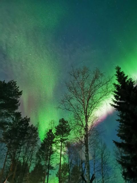 Rovaniemi Hunting Aurora at the Best Spots - Staying warm and keeping your night under control