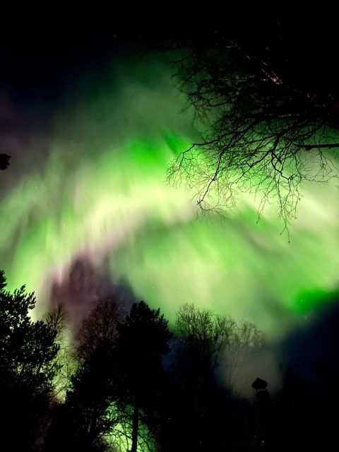 Rovaniemi Hunting Aurora at the Best Spots - Who this aurora hunt suits best