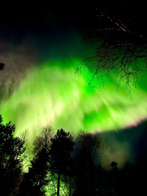Rovaniemi Hunting Aurora at the Best Spots - Timing and route, from your 19:30 clothing pickup to the 20-23:30 sky window