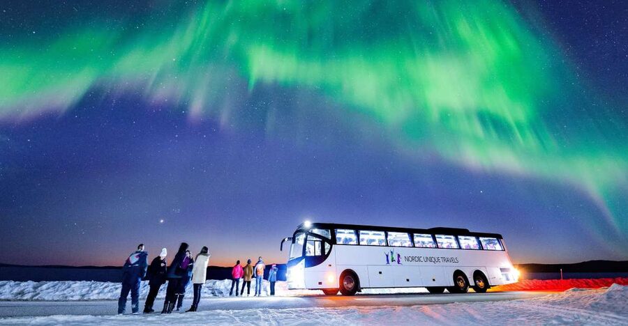Rovaniemi: Hunting Northern Lights Bus Tour - Hot Blueberry Juice and Staying Comfortable When You’d Rather Quit