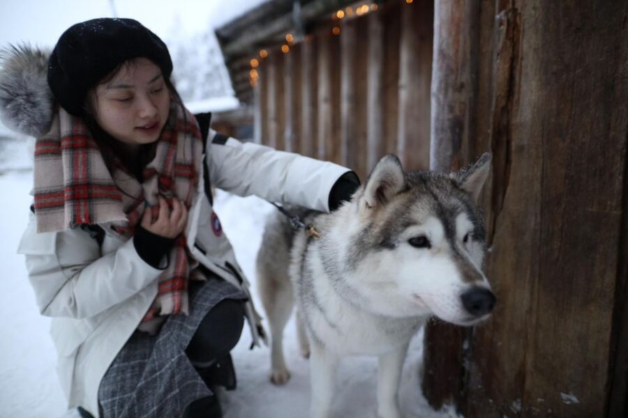 Rovaniemi: Husky and reindeer farm visit with sleigh rides - What to pack so this feels fun instead of painful