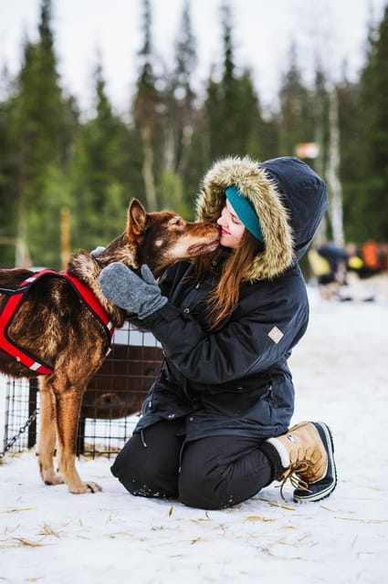Rovaniemi: Husky and Reindeer farm with sleigh ride - What to Bring, What to Expect, and Winter Reality Checks