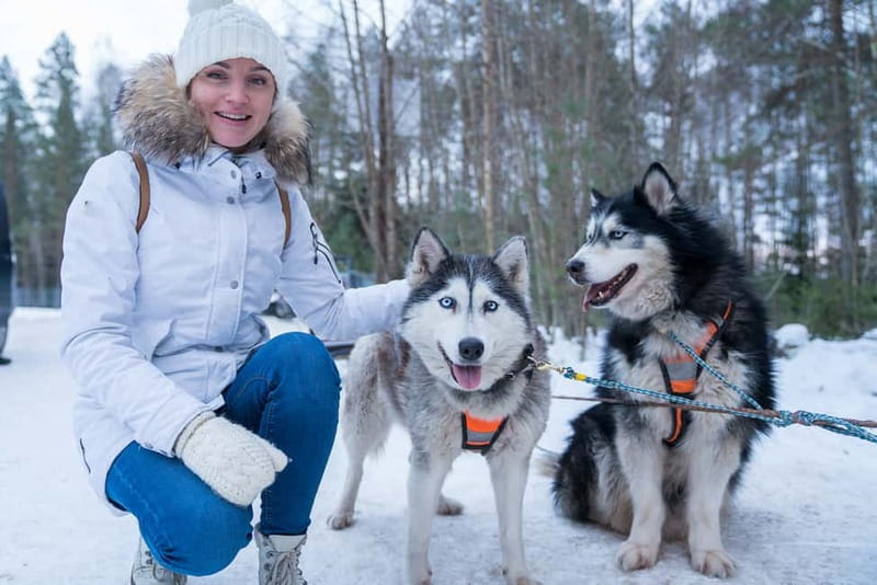 Rovaniemi: Husky Farm and Reindeer Experience - Key highlights you’ll actually care about