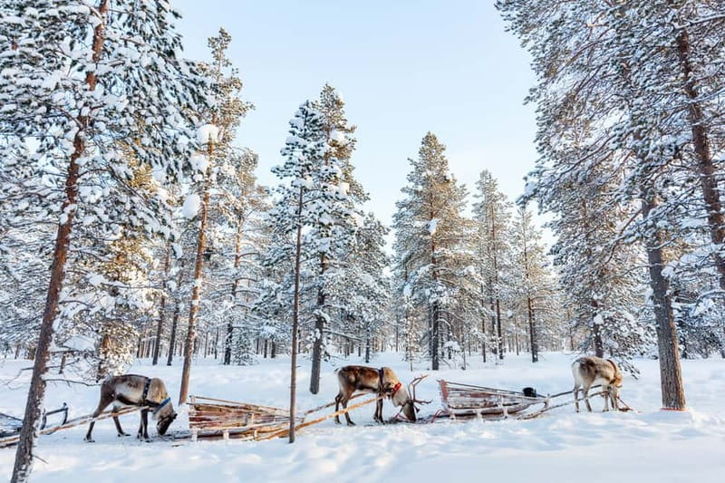 Rovaniemi: Husky Farm and Reindeer Experience - Santa Claus Village time: magical, touristy, and totally optional