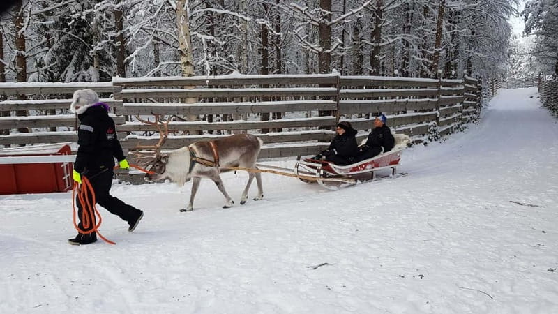 Rovaniemi: Husky Farm and Reindeer Experience - Price and value: what you’re paying for at $185 per person