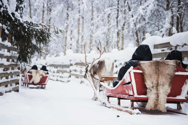 Rovaniemi: Husky Farm and Reindeer Experience - Reindeer Manor: the herding story and your driver’s license moment