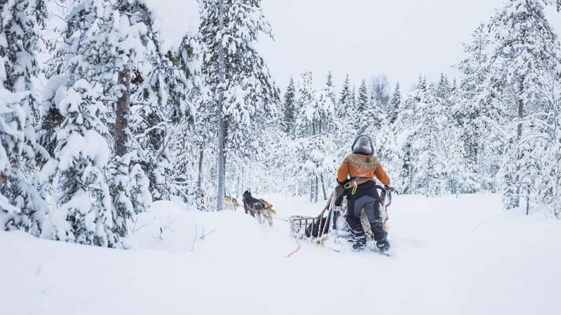 Rovaniemi: Husky & Reindeer Experience with Snowmobile Ride - Why this Rovaniemi mix works so well for a short Lapland trip