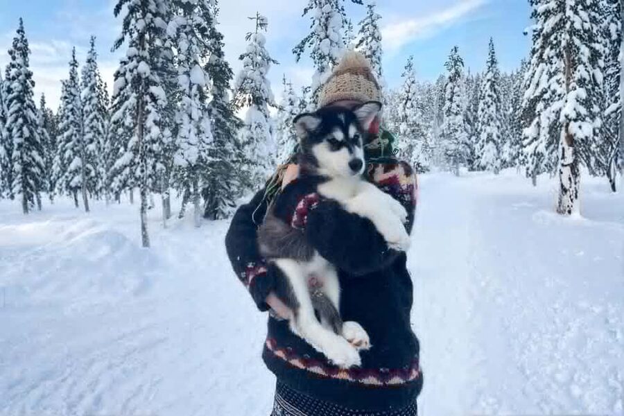 Rovaniemi: Husky Safari & Campfire BBQ – 6‑10 km Self‑Drive - What the guides add: small details that make it easier