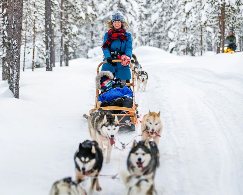 Rovaniemi: Husky Safari on a Snowy Trail - On the Trail: Pace, Terrain, and When the Ride Feels Just Right