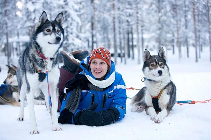 Rovaniemi: Husky Safari on a Snowy Trail - Price and Value: Is $269 Worth It for Lapland?