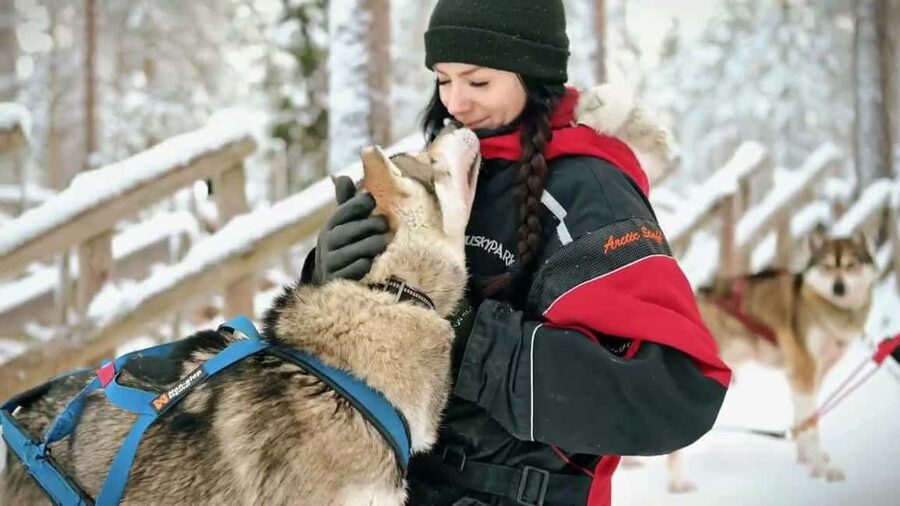 Rovaniemi: Husky Sled Ride and Farm Visit - Price and Value: Is $117 Worth a Two-Hour Winter Hit?
