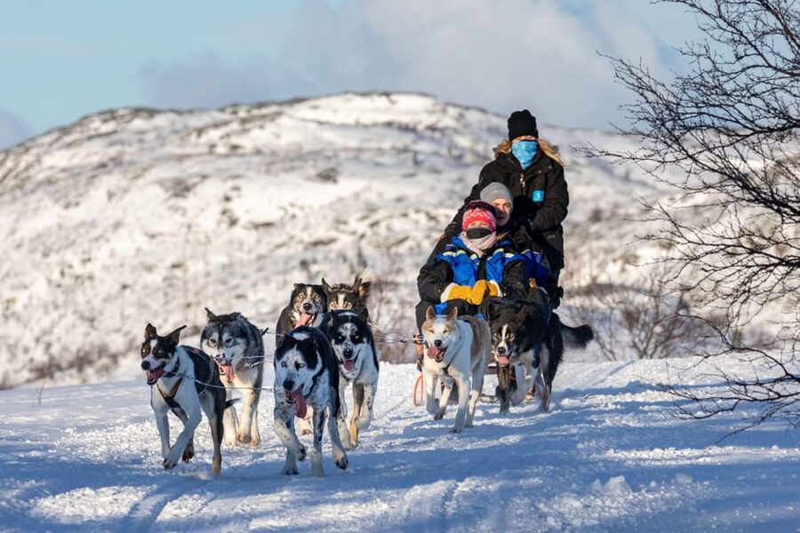 Rovaniemi: Husky Sled Ride and Farm Visit - Price and Value: What You’re Really Paying For at $117 Per Person