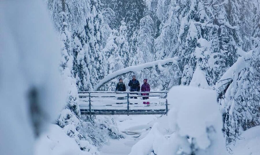 Rovaniemi: Korouoma Canyon and Frozen Waterfalls Tour - Should you book? My practical decision guide