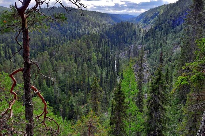 Rovaniemi Korouoma Canyon Hike and Barbecue Experience - Key takeaways before you go