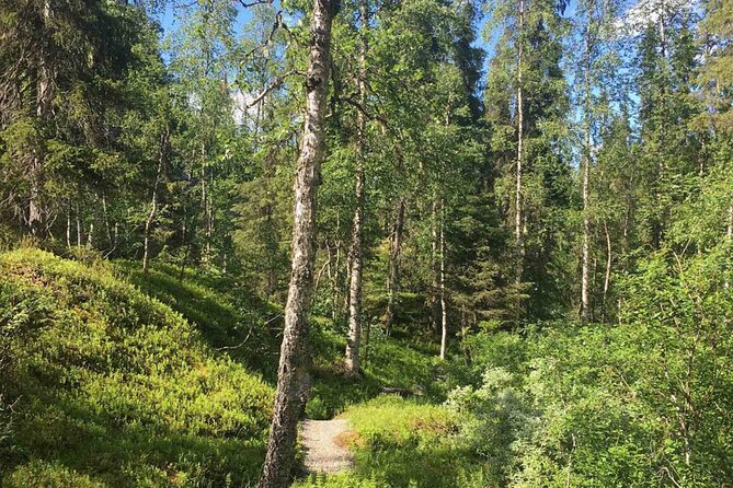 Rovaniemi Korouoma Canyon Hike and Barbecue Experience - Korouoma Canyon: why this hike works so well in Lapland