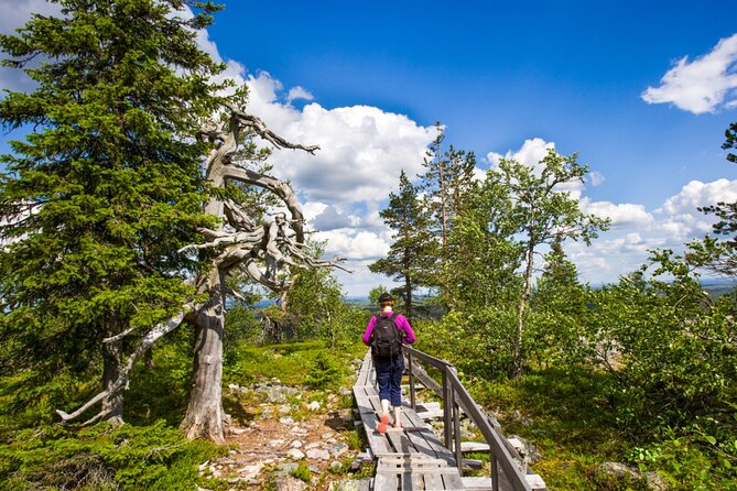 Rovaniemi Korouoma Canyon Hike and Barbecue Experience - On the trail: what 4-6 km really means for your body