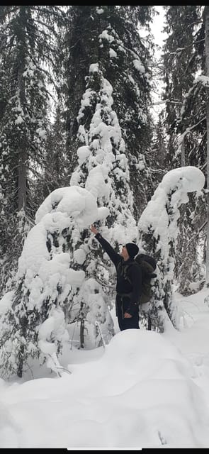 Rovaniemi: Korouoma Frozen Waterfalls Hike & Hot BBQ Lunch - Getting there from Rovaniemi, the van ride and the day rhythm