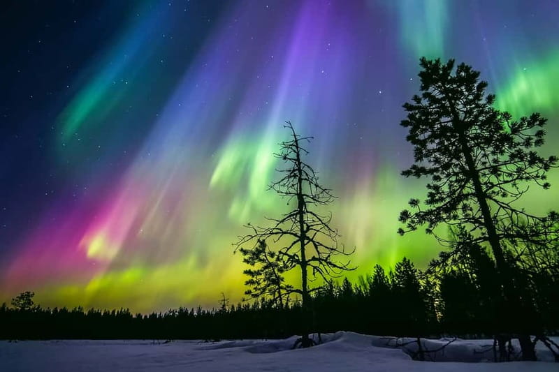 Rovaniemi: Lakeside Private Sauna with Aurora Borealis - From Rovaniemi pickup to a forest complex with fairy-light vibes