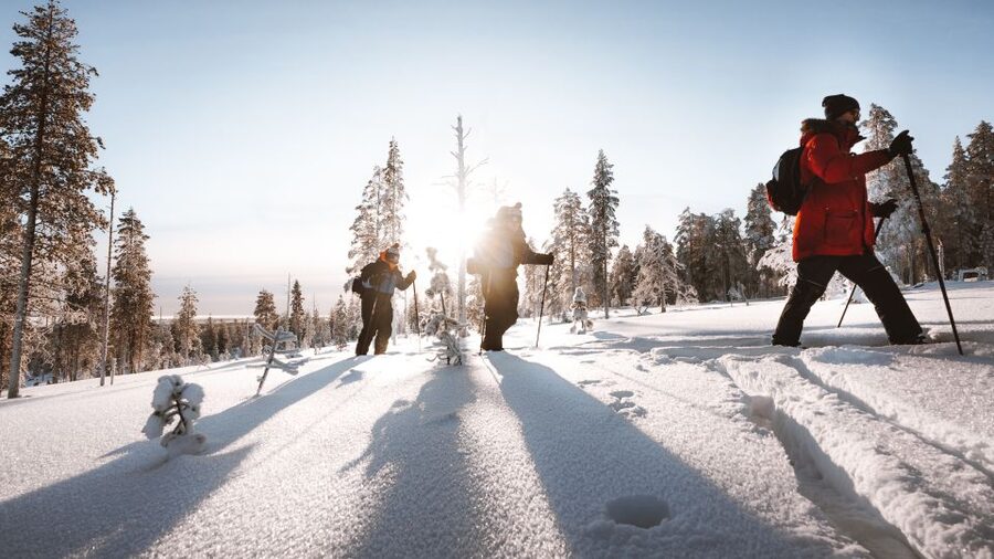 Rovaniemi: Lapland Ski Trekking Safari - Key highlights you will feel right away
