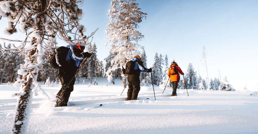 Rovaniemi: Lapland Ski Trekking Safari - Should you book this Rovaniemi Lapland Ski Trekking Safari?
