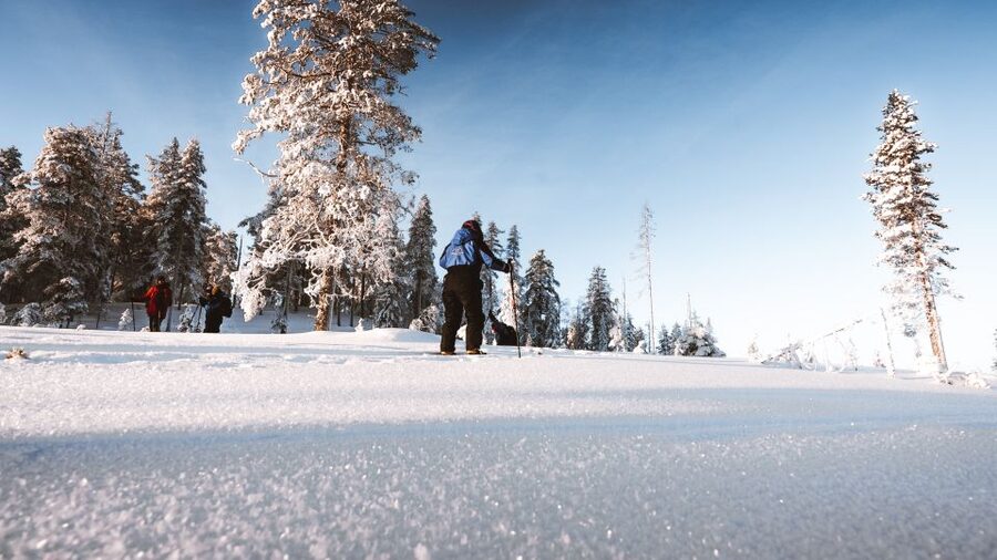 Rovaniemi: Lapland Ski Trekking Safari - Why ski trekking works better than groomed trails in Rovaniemi