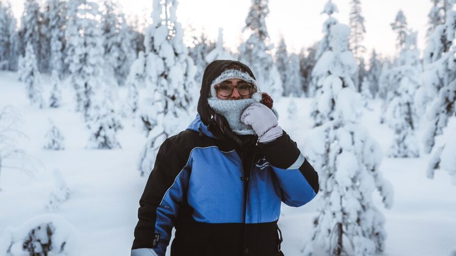 Rovaniemi: Lapland Ski Trekking Safari - Price and value: what $128 buys you in 4 hours