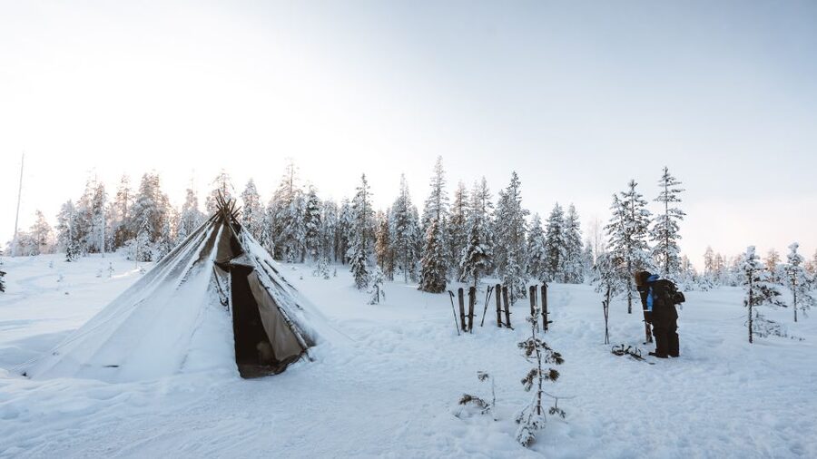 Rovaniemi: Lapland Ski Trekking Safari - Who should book this ski trekking safari, and who should skip it