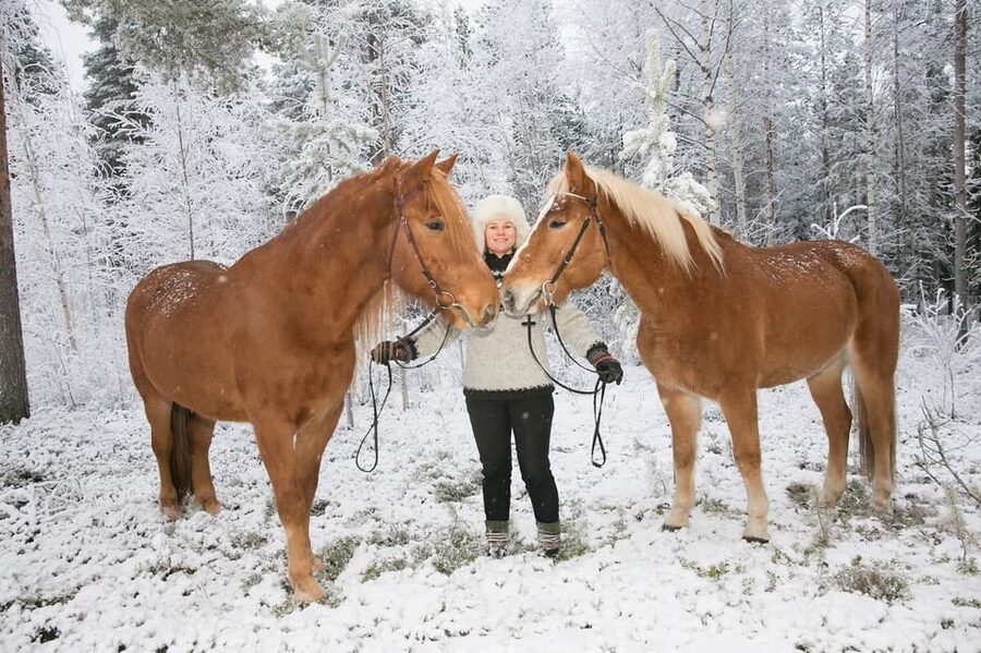 Rovaniemi: Late Night Ride with Finnhorses - Key Things You Should Know Before You Go
