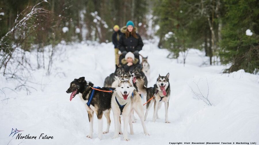 Rovaniemi: Meet Santa Claus, Reindeer Sleigh Ride & Huskies - Pickup, van ride, and why small-group transport matters