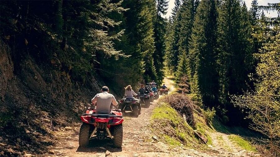 Rovaniemi: Midnight Sun, ATV Ride During The Golden Hour - The gingerbread and blueberry juice stop you will look forward to