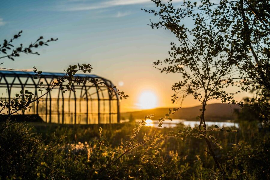 Rovaniemi: Midnight Sun Photography Tour - Getting around: transportation and why it helps with timing
