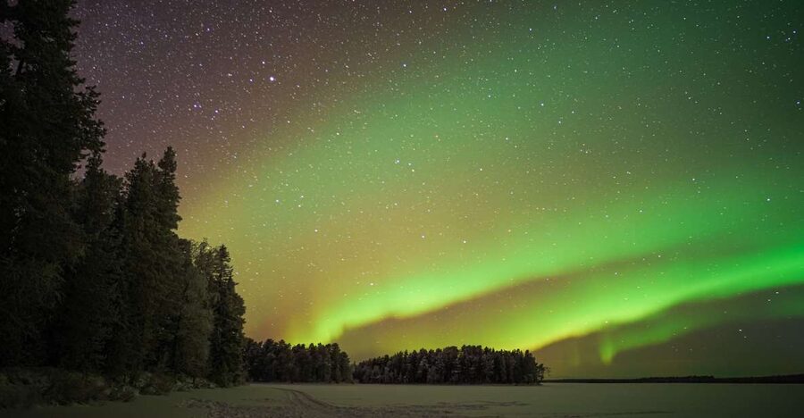 Rovaniemi: Night Sky lappish Barbecue - Who this tour suits best, and who should look elsewhere