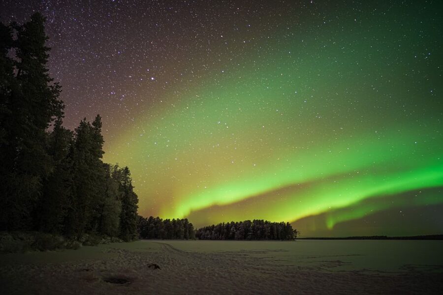 Rovaniemi: Night Sky lappish Barbecue - Arrival in an open viewing area, then fire lighting and sky watching