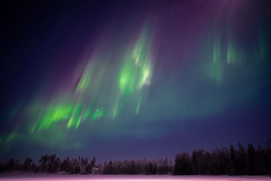 Rovaniemi: Night Sky lappish Barbecue - What to bring and what rules to follow so the night stays comfortable
