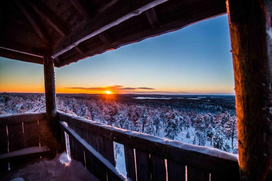 Rovaniemi: Nordic Forest Wilderness Adventure - How the 4-Hour Timing Works, From Pickup to Tower Views