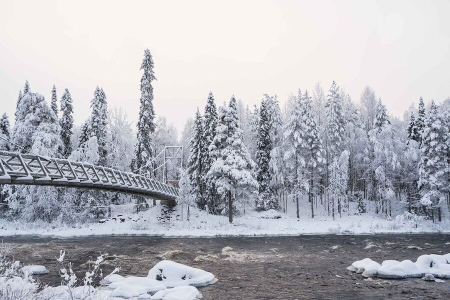 Rovaniemi: Nordic Forest Wilderness Adventure - Uphill Hills and the Sightseeing Tower on the Arctic Fell