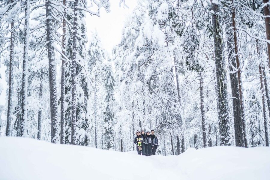 Rovaniemi: Nordic Forest Wilderness Adventure - Winter Comfort: What’s Provided and What You Should Think About