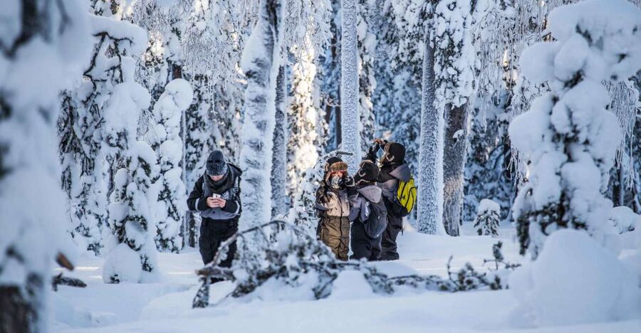 Rovaniemi: Nordic Forest Wilderness Adventure - Price and Value: Is $159 Fair for This Kind of Wilderness Photo Hike?