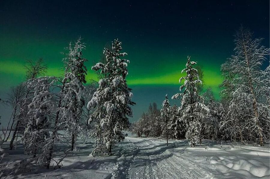Rovaniemi: Northern Lights and Husky Sleigh Ride - Key highlights to look forward to
