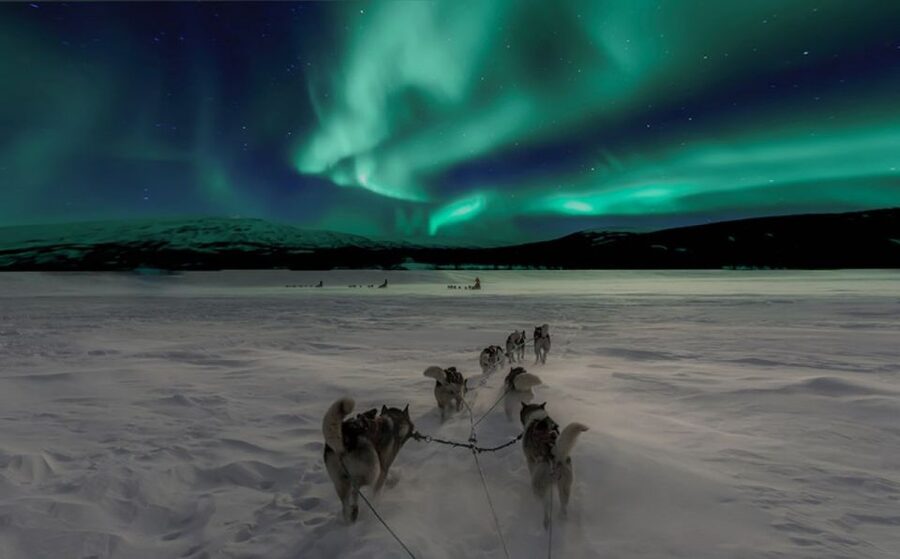 Rovaniemi: Northern Lights and Husky Sleigh Ride - Why this Rovaniemi night works, even when the clouds win