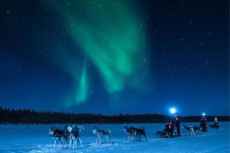 Rovaniemi: Northern Lights and Husky Sleigh Ride - Northern Lights hunting by car, and what to do if the sky is cloudy