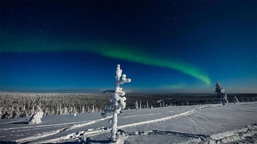 Rovaniemi: Northern Lights and Husky Sleigh Ride - Price and value: is $269 really worth it for 3.5 hours?