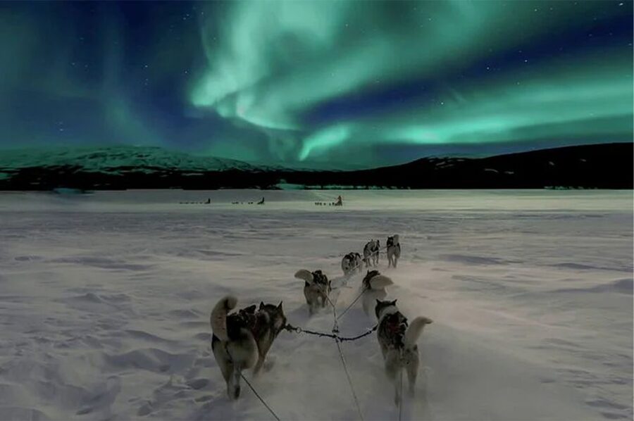 Rovaniemi: Northern Lights and Husky Sleigh Ride - How the 3.5 hours flow, from pickup to stargazing