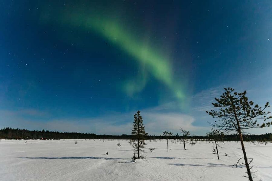 Rovaniemi: Northern Lights Family-Friendly Snowmobile Safari - Key moments that make this safari work for families