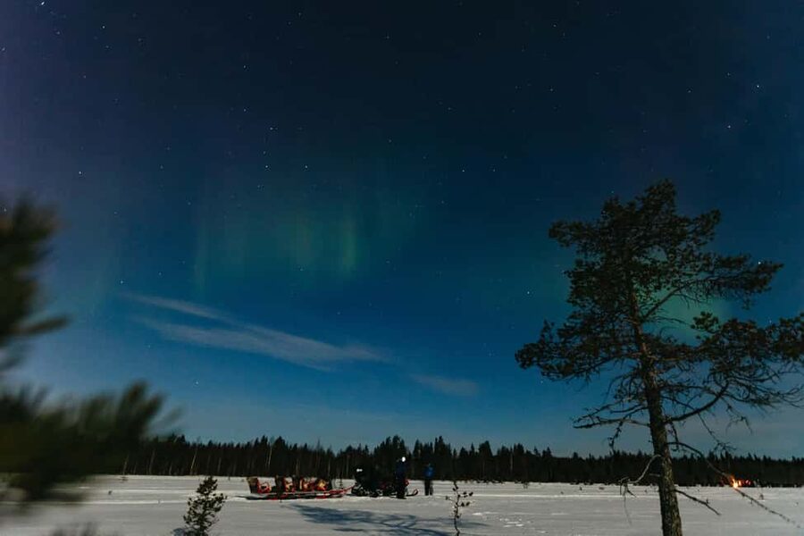 Rovaniemi: Northern Lights Family-Friendly Snowmobile Safari - Driver rules, safety, and the real requirements for riding