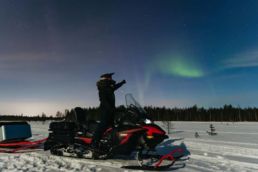 Rovaniemi: Northern Lights Family-Friendly Snowmobile Safari - What the guide experience is like when the night is going well