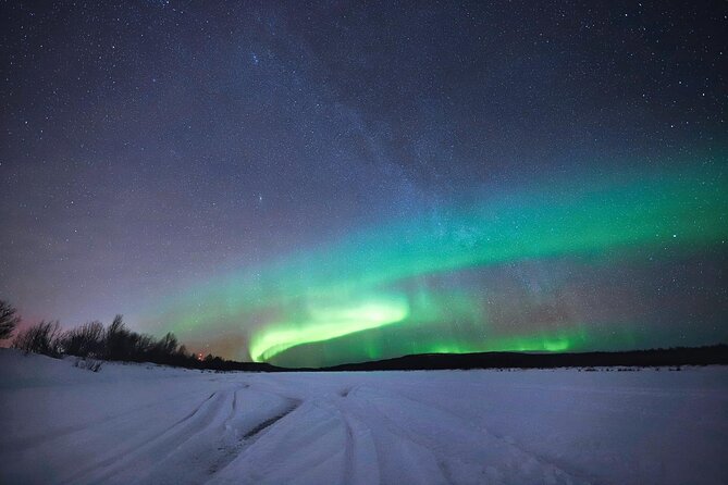 Rovaniemi: Northern Lights Group Tour - Guaranteed View - Pro photos: what you get, how fast you receive them, and what to expect