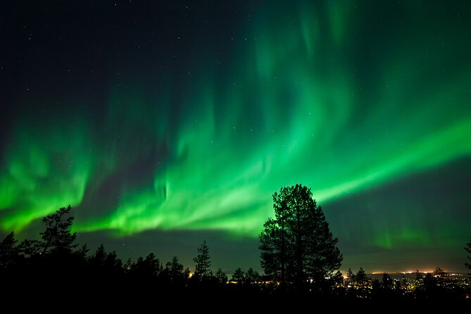 Rovaniemi: Northern Lights Group Tour - Guaranteed View - Who this tour is best for, and who might want a different style